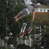 Pinkbike profile picture for @jack