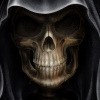 Pinkbike profile picture for @scream