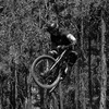 Pinkbike profile picture for @richie