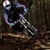 downhillstanz avatar