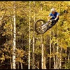 abhollow avatar