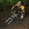 steve-abell avatar