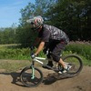 dingo-dave avatar