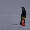 timotino avatar