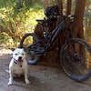 Pinkbike profile picture for @hank