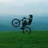 Pinkbike profile picture for @pastore