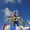gralha avatar