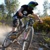 Pinkbike profile picture for @papagaio
