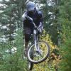 crashtestdumbie avatar