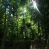 Pinkbike profile picture for @goran