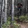 belterbikes avatar