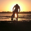 Pinkbike profile picture for @sinner