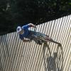 mcrumble avatar