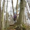 bike-monster avatar