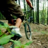 specializedkid13 avatar