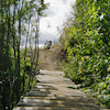Pinkbike profile picture for @heather