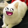 fattirerider avatar
