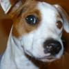too-old4this avatar