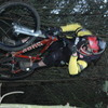bengt avatar