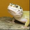 mariiusz avatar