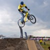 bmxvandall avatar