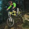Pinkbike profile picture for @loko