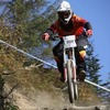 dirtyhabbit avatar