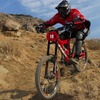 tommynut avatar