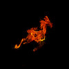 goldsie avatar