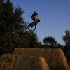 milhaus01 avatar