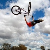 billy26 avatar