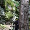 Pinkbike profile picture for @stevens