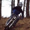 matt-nelson avatar