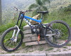 fabiobrandao avatar