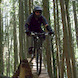 Pinkbike profile picture for @carbuncle