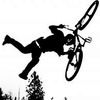 dgreenall avatar