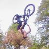 Pinkbike profile picture for @crawford