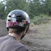 sgibson avatar