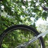 Pinkbike profile picture for @triple