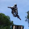 lizart avatar