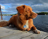 rockyflowtbay avatar