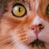 Pinkbike profile picture for @soup