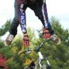 Pinkbike profile picture for @optical