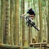 biker00029 avatar