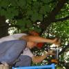 drdirt avatar