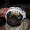 calethurston24 avatar