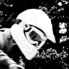 danpousette avatar