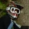 luckxc avatar