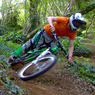 haydendmorrison avatar