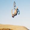 idrinkpabst avatar